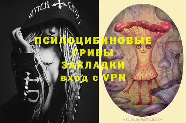 ГАЛЛЮЦИНОГЕННЫЕ ГРИБЫ Нея