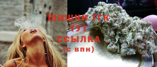 ГАЛЛЮЦИНОГЕННЫЕ ГРИБЫ Нея