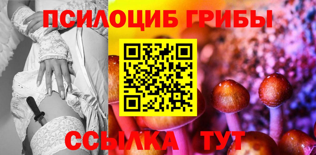 Воронеж  Псилоцибиновые грибы GOLDEN TEACHER  Вход с VPN 